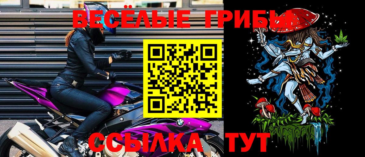 Галлюциногенные грибы мицелий  Псилоцибиновые грибы прущие грибы  где купить наркотик  Вход с VPN  Буйнакск 