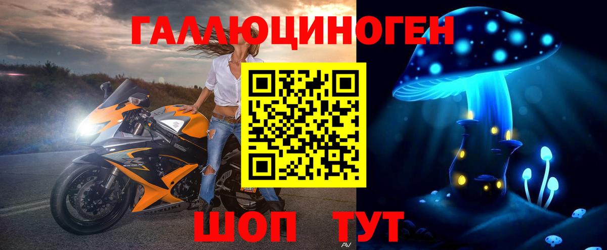 Галлюциногенные грибы GOLDEN TEACHER Буйнакск